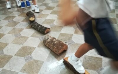 Llegada del otoño en Infantil