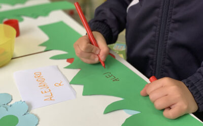 TALLER INTERNIVEL Y COOPERATIVO EN EDUCACIÓN INFANTIL