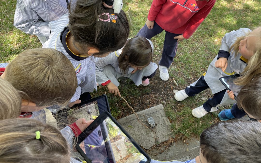 La Curiosidad Motor Del Aprendizaje En El Aula