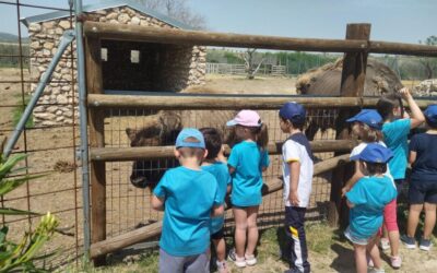 Celebramos lo aprendido con propuestas de los niños y niñas.