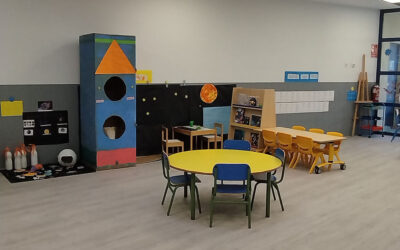 ORGANIZACIÓN EN UN AULA NCA